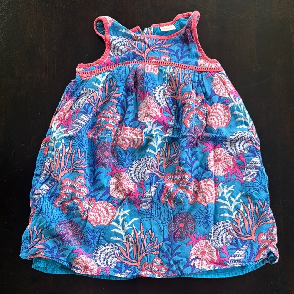 Gymboree Blue and Pink Kids Dress